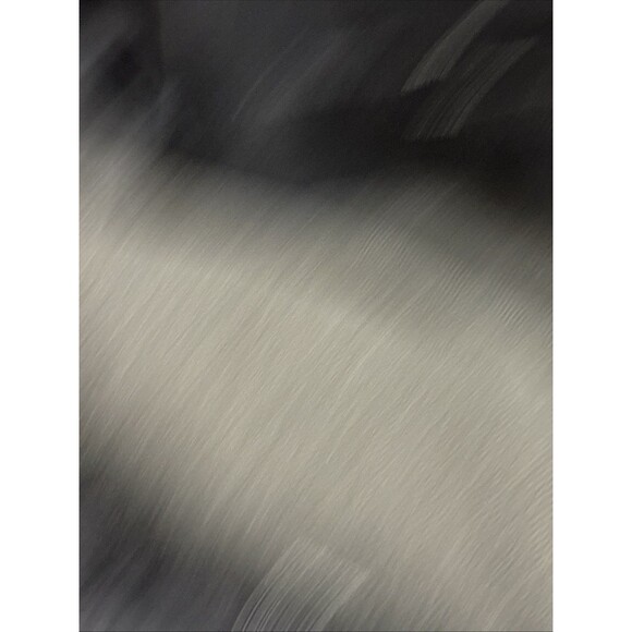 (W1)Liz Claiborne Men’s Wool Hidden Zipper Button Front Coat Size L Pockets - Picture 14 of 15